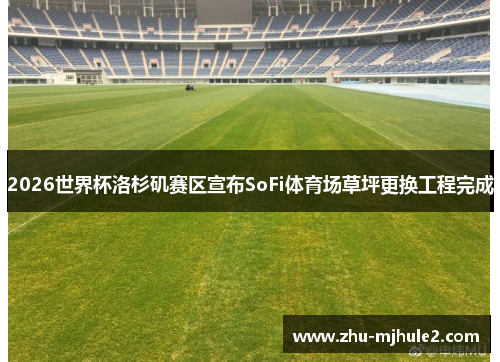 2026世界杯洛杉矶赛区宣布SoFi体育场草坪更换工程完成 2026世界杯洛杉矶赛区宣布SoFi体育场草坪更换工程完成