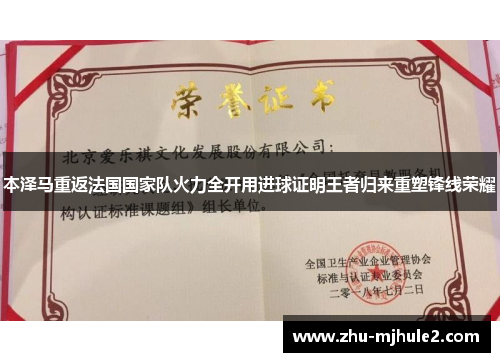 本泽马重返法国国家队火力全开用进球证明王者归来重塑锋线荣耀